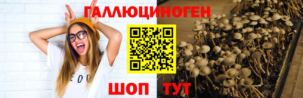 Псилоцибиновые грибы Magic Shrooms  Вход с VPN  Галлюциногенные грибы мицелий  Елизово 